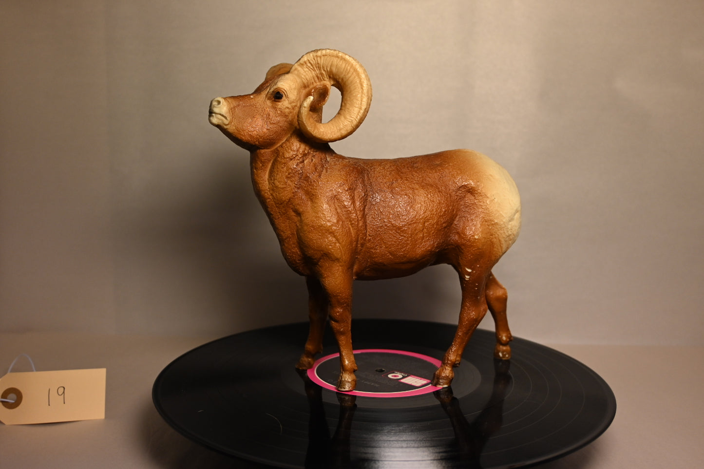#19 BigHorn Ram