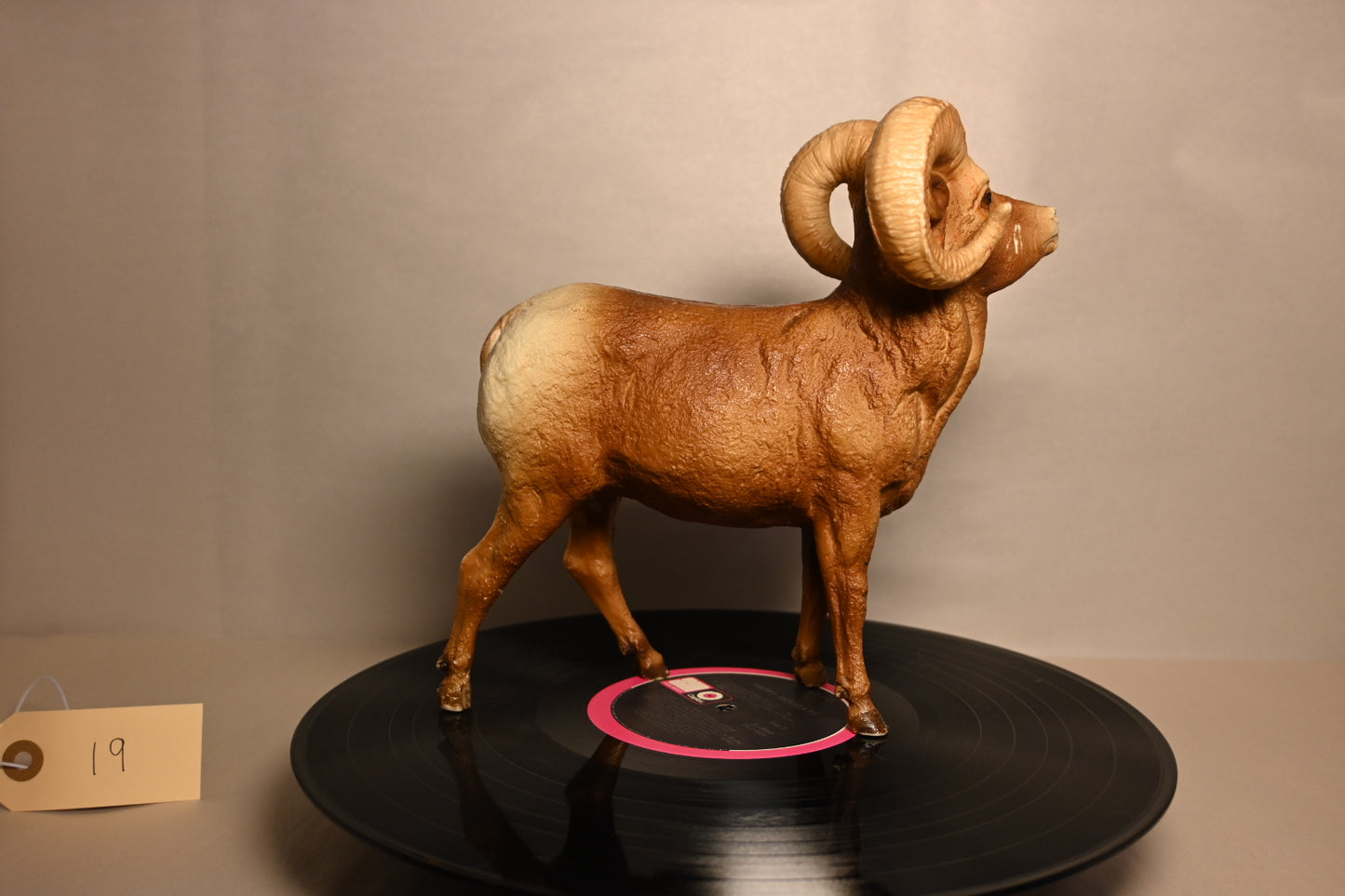#19 BigHorn Ram