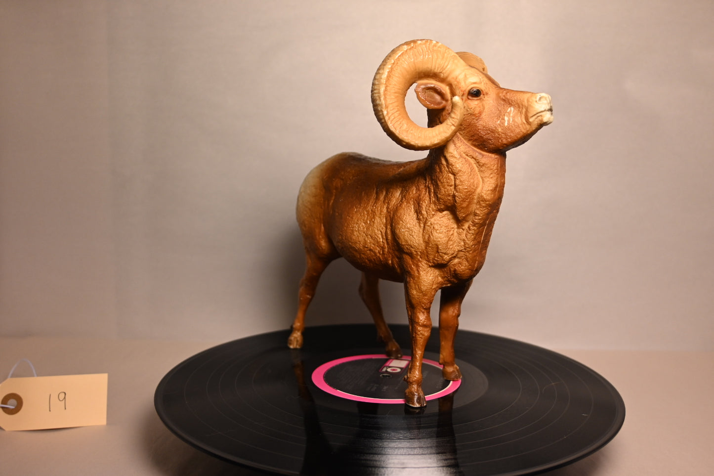 #19 BigHorn Ram