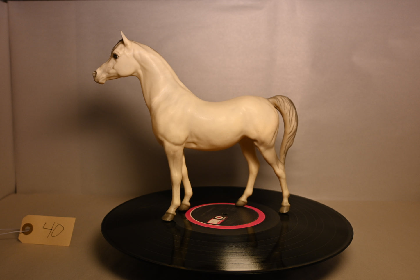 #40 PAM Proud Arabian Mare