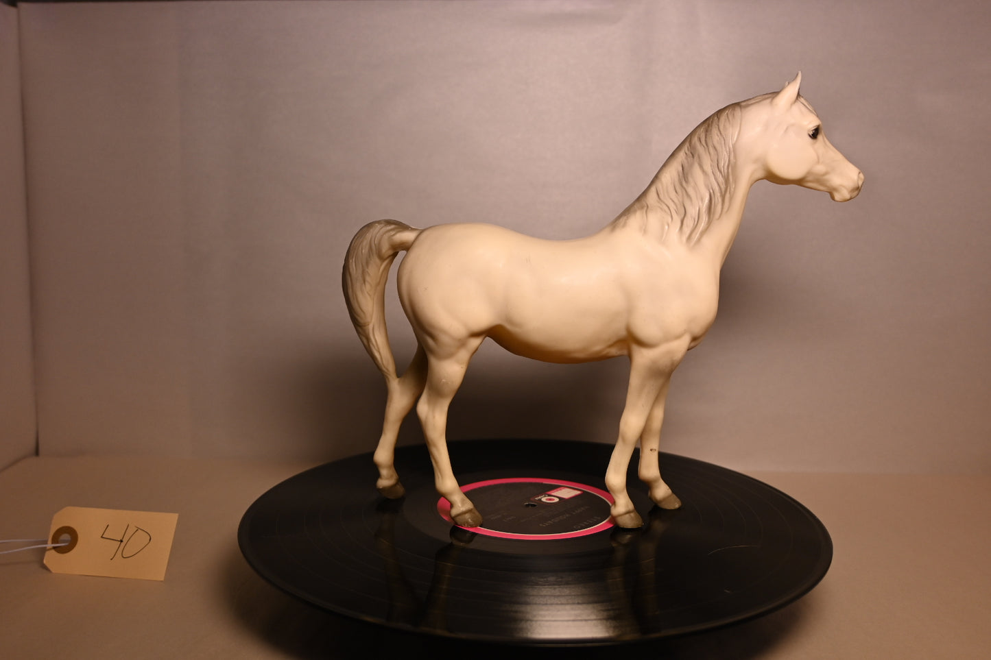#40 PAM Proud Arabian Mare