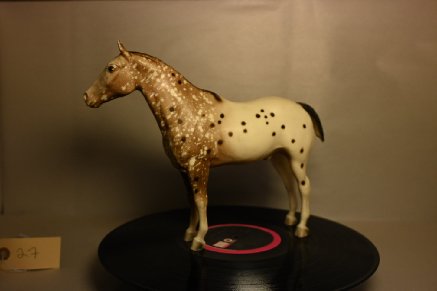 #27 Appaloosa Performance Horse