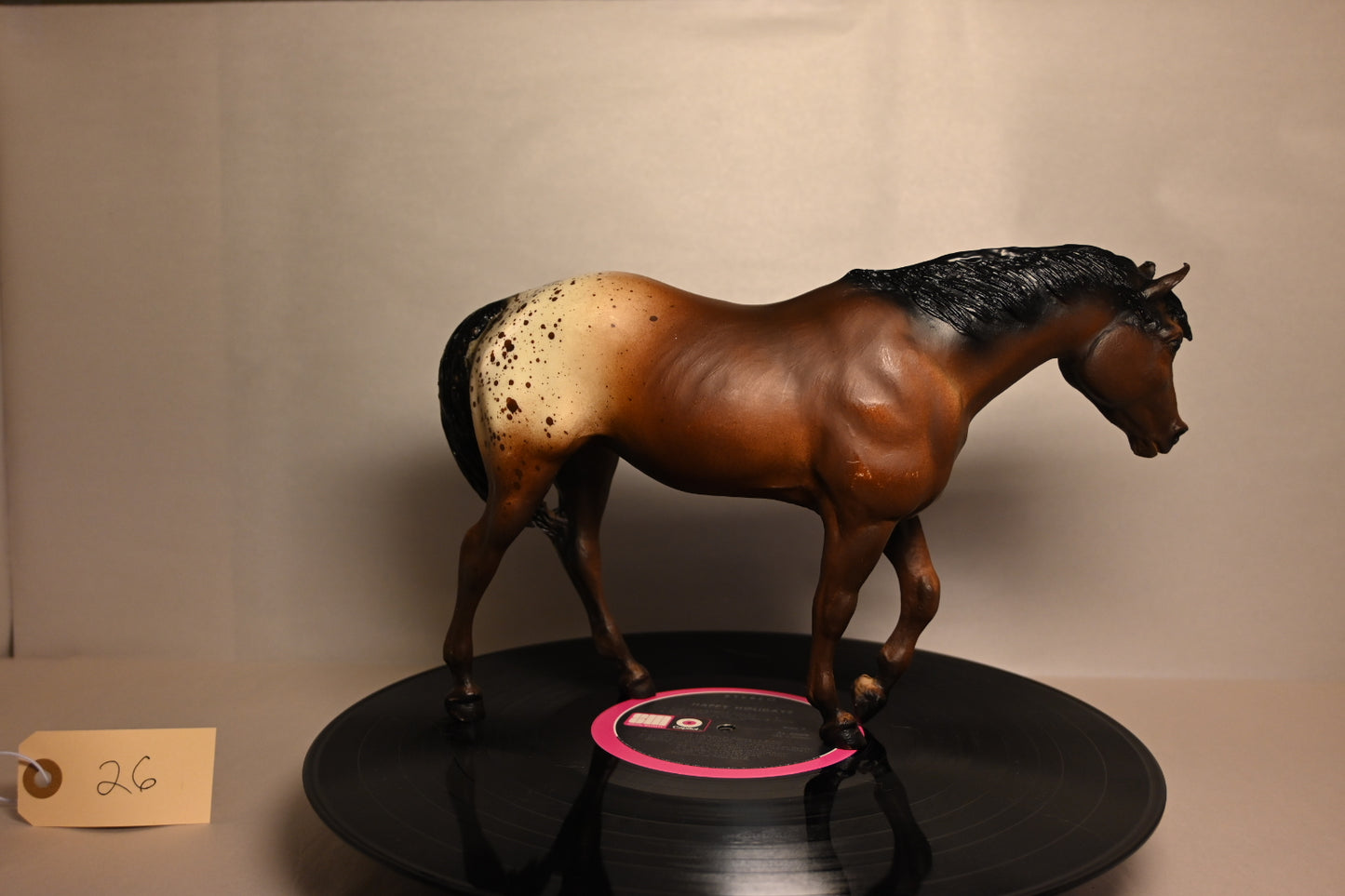 #26 Indian Pony