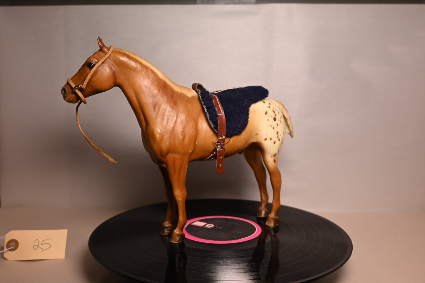 #25 Appaloosa Preformance horse