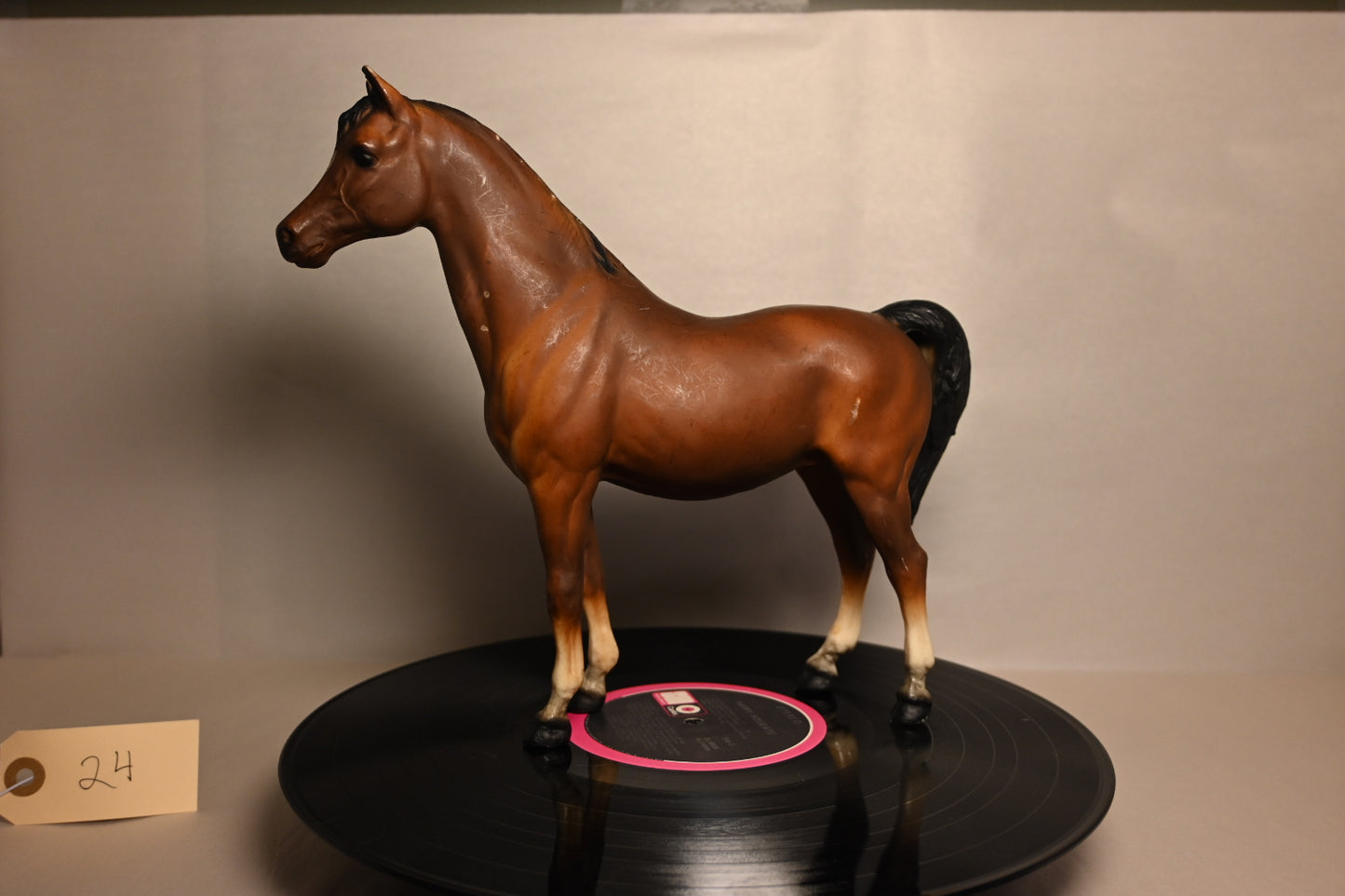 #24 FAM Family Arabian Mare