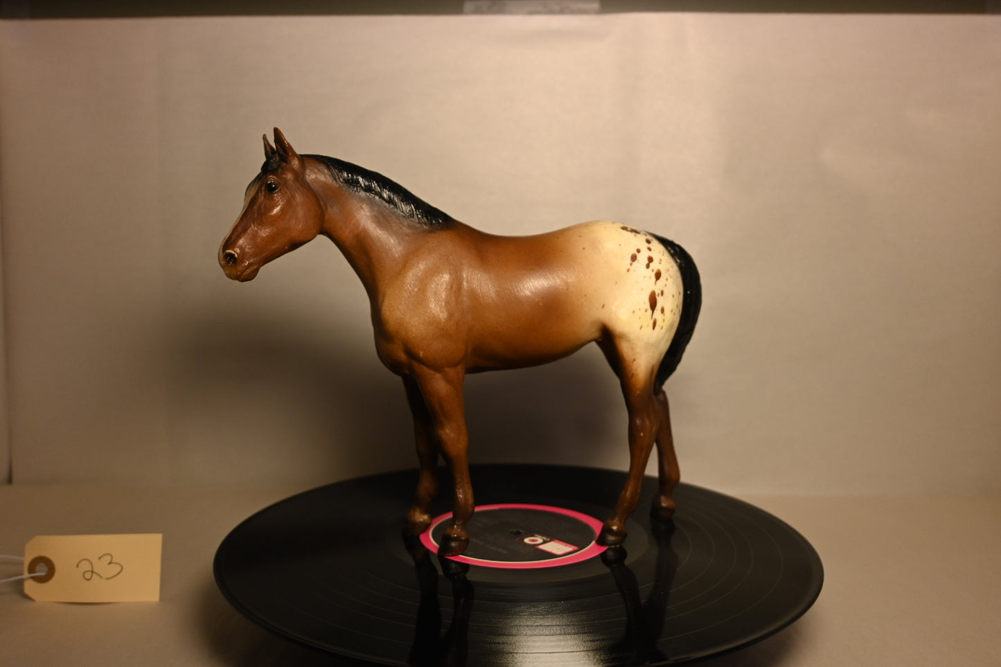 #23 Quarter Horse Yearling