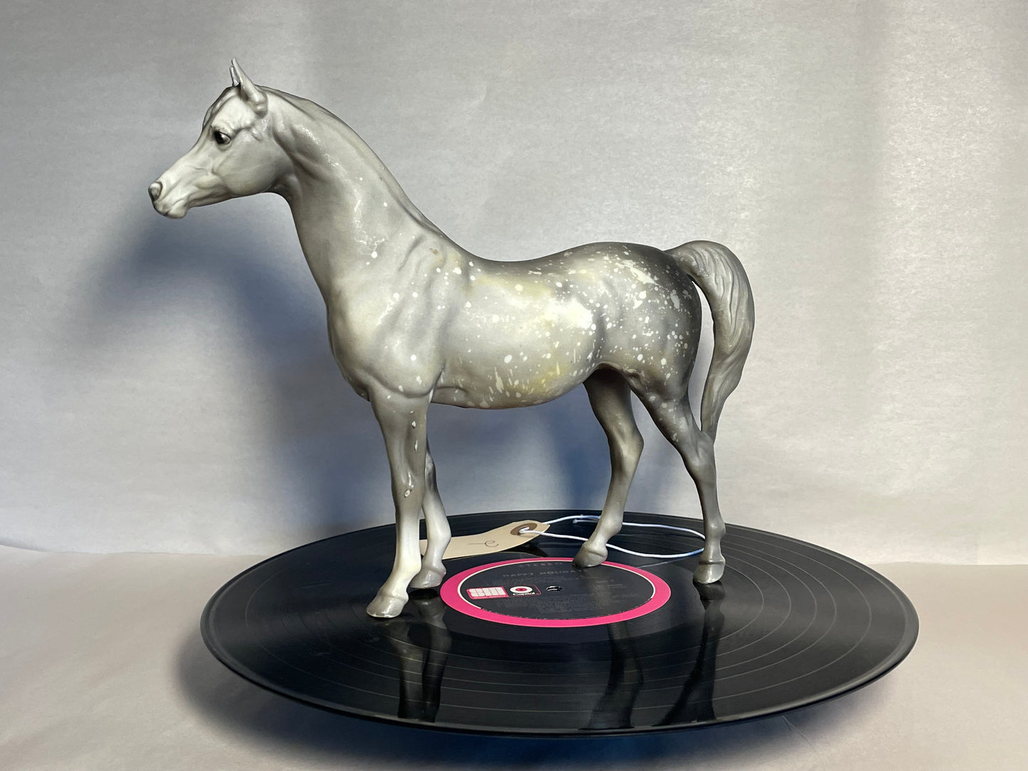 #2 PAM Proud Arabian Mare