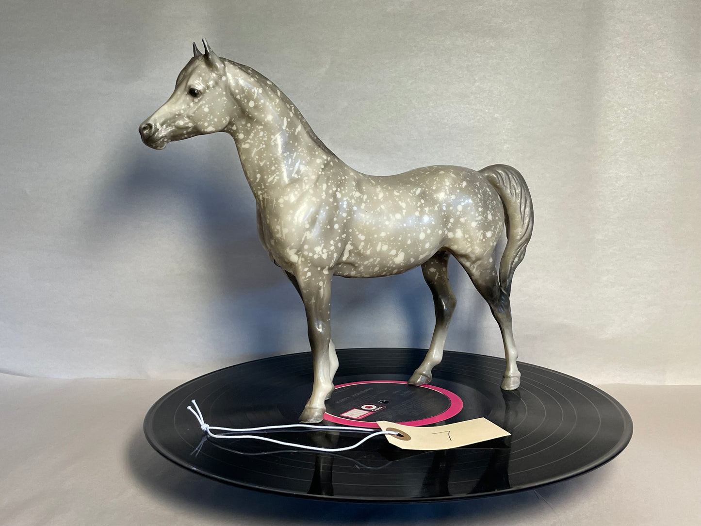 #7 Proud Arabian Mare