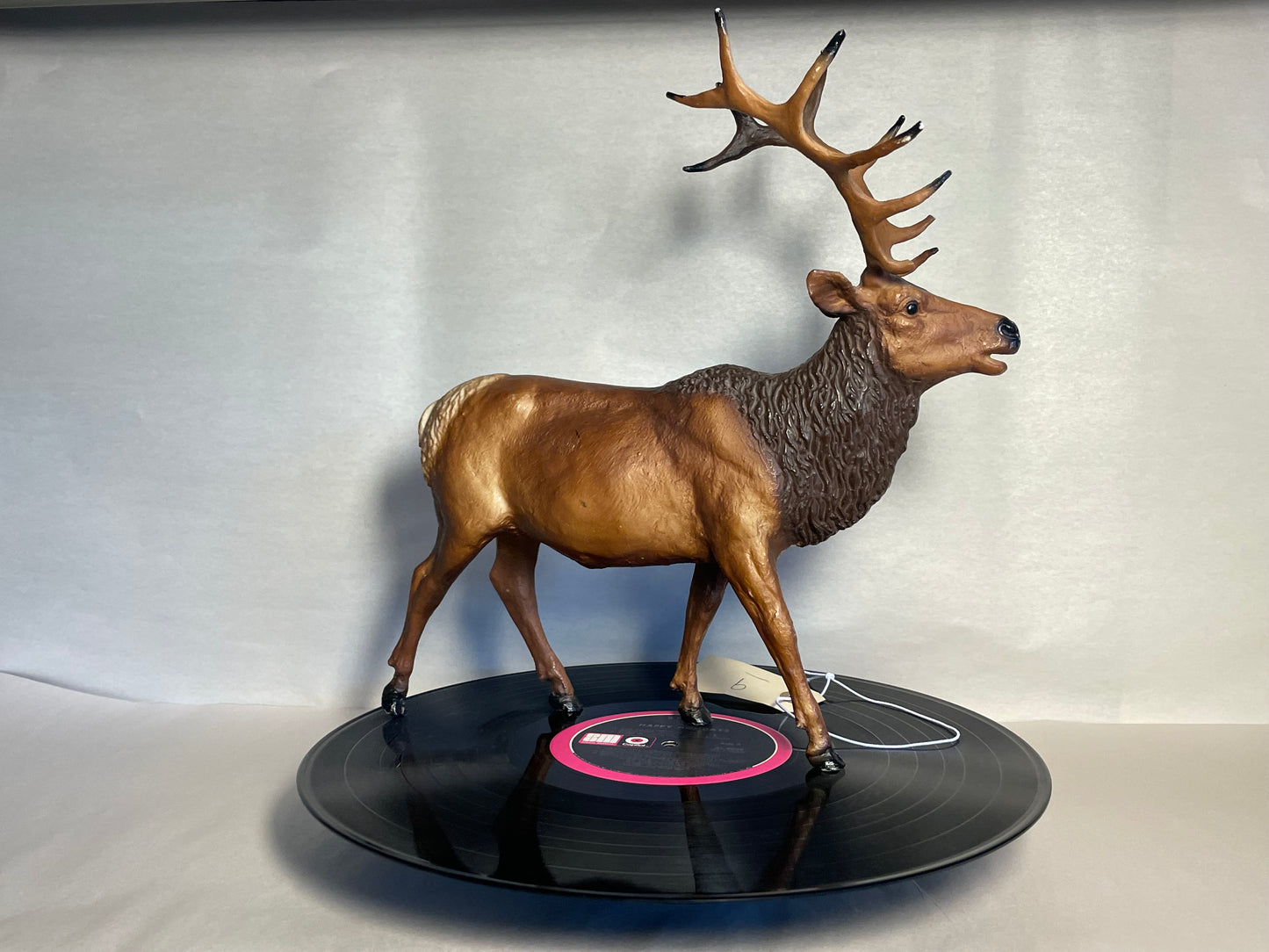 #9 Elk