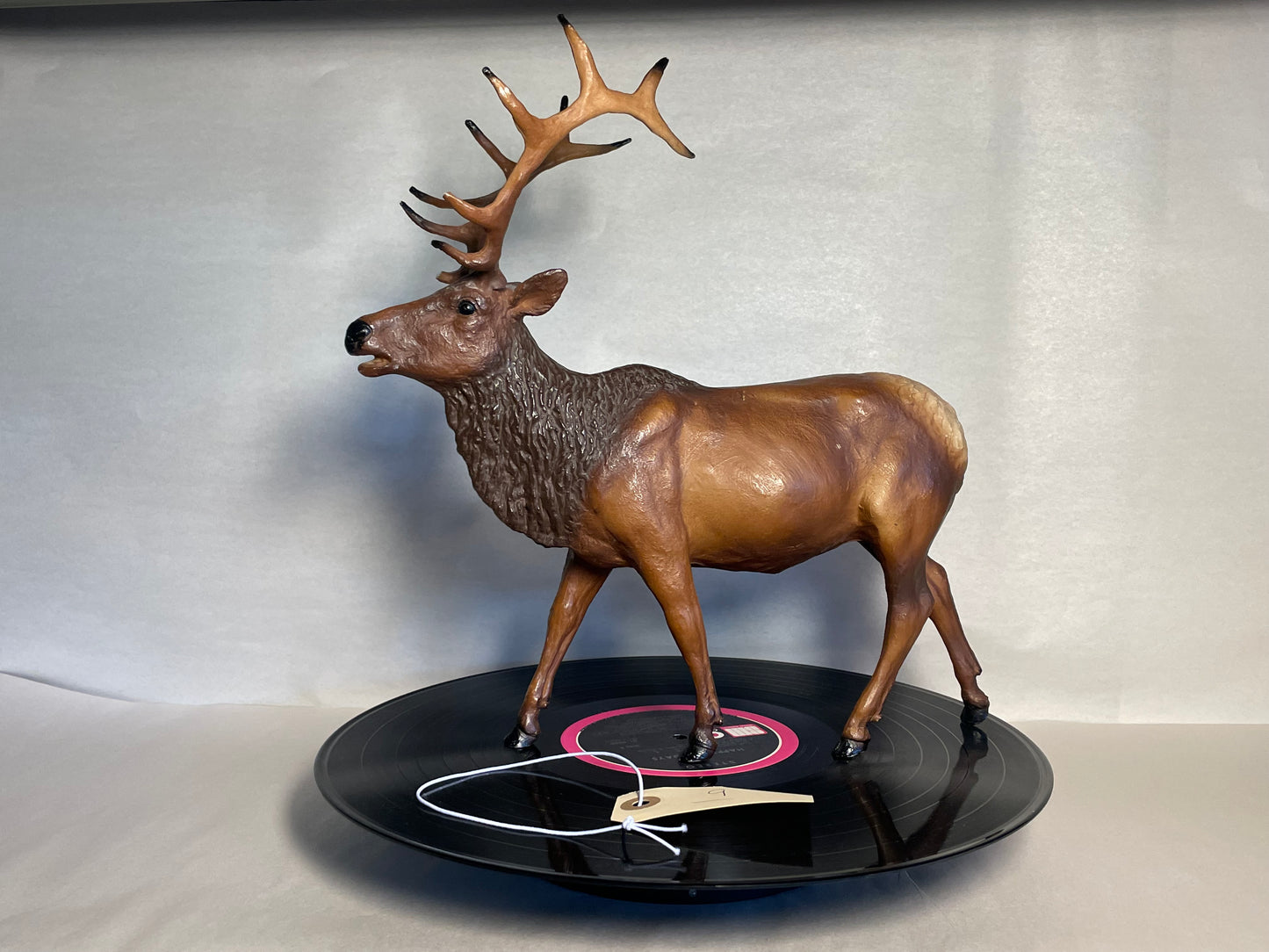 #9 Elk