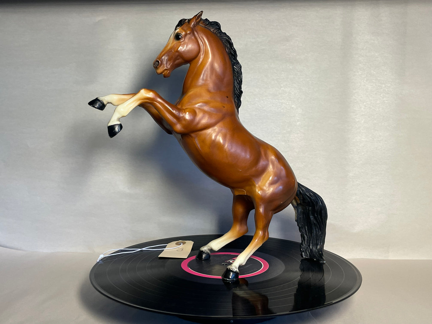 #10 Fighting Stallion