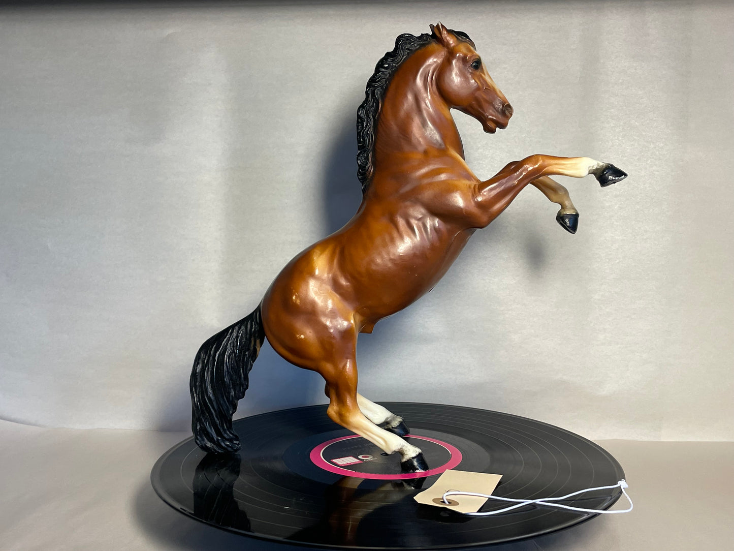 #10 Fighting Stallion