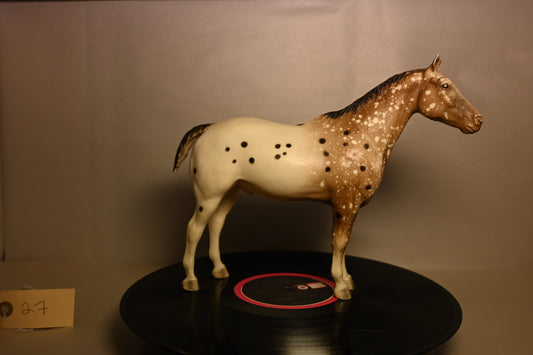 #27 Appaloosa Performance Horse